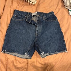 Everlane Rigid Way High Short